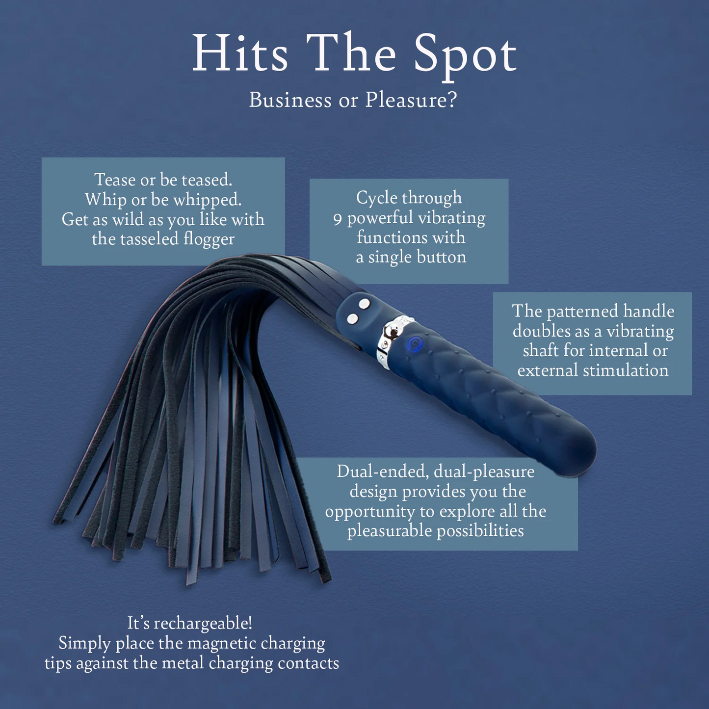 Hits The Spot: Whip with vibrator